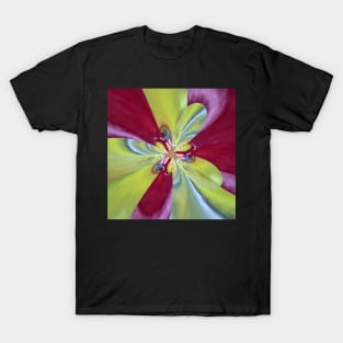 Sangria T-Shirt